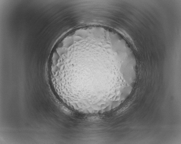 X0000073480798200608281548
