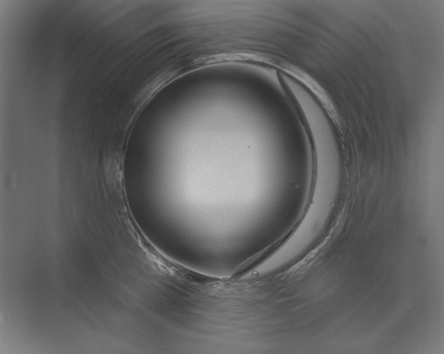 X0000073480809200608281548
