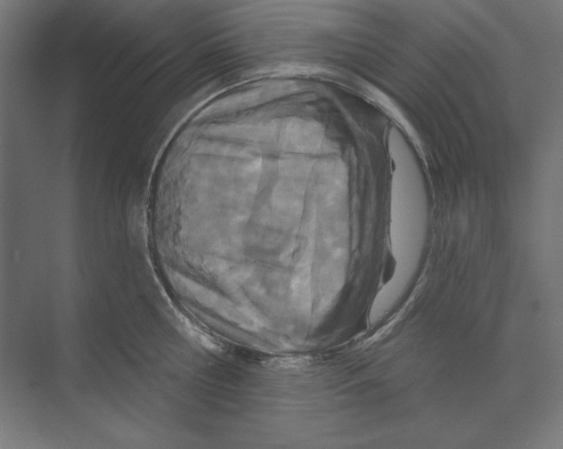 X0000073480810200608281548