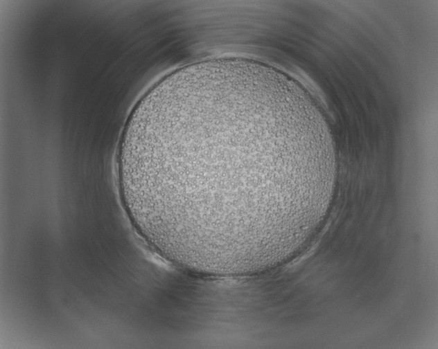 X0000073480814200608281548