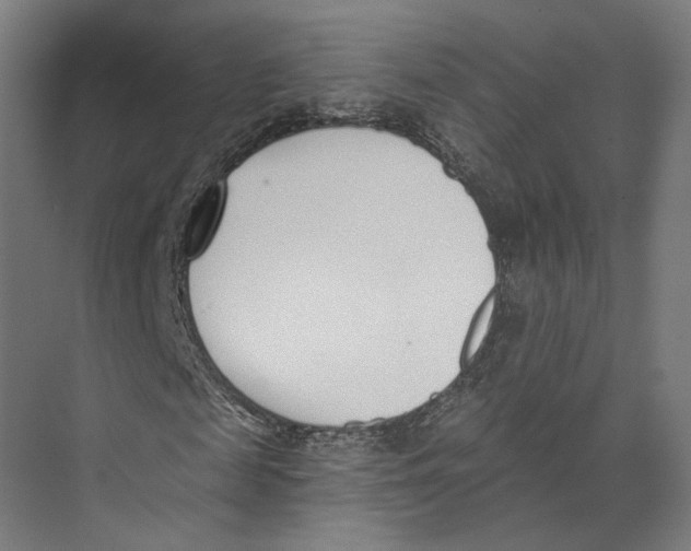 X0000073480817200608281547