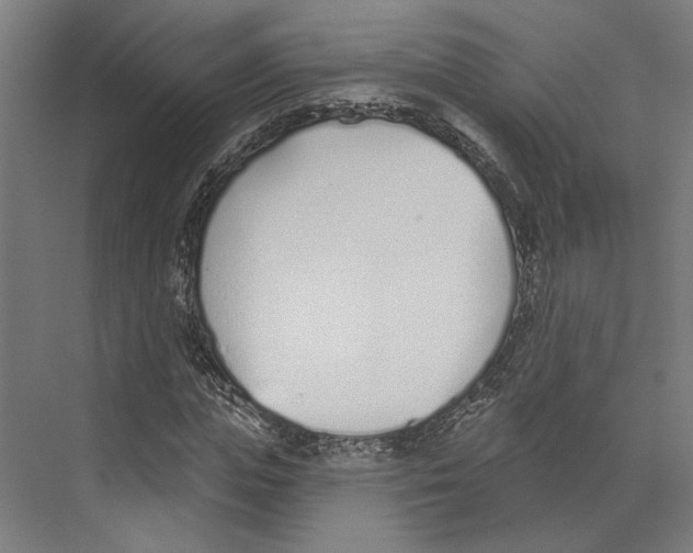 X0000073480823200608281547