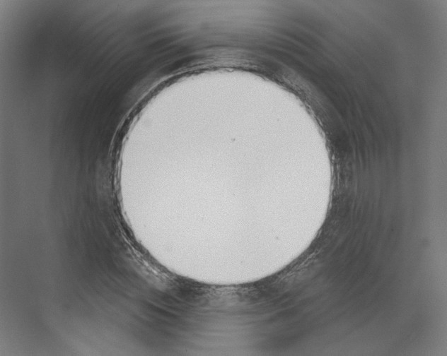 X0000073480828200608281547
