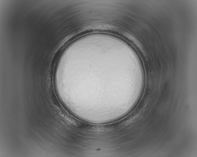X0000073480829200608281547
