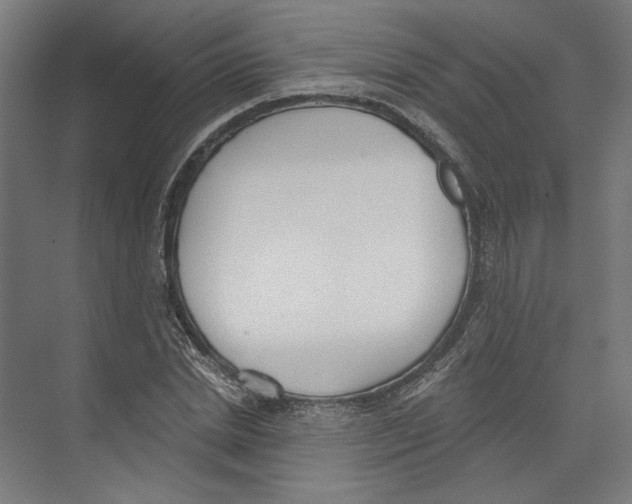 X0000073480830200608281547