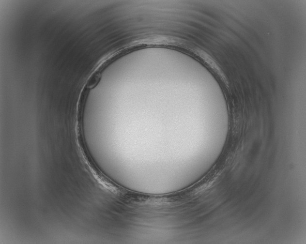 X0000073480845200608281547