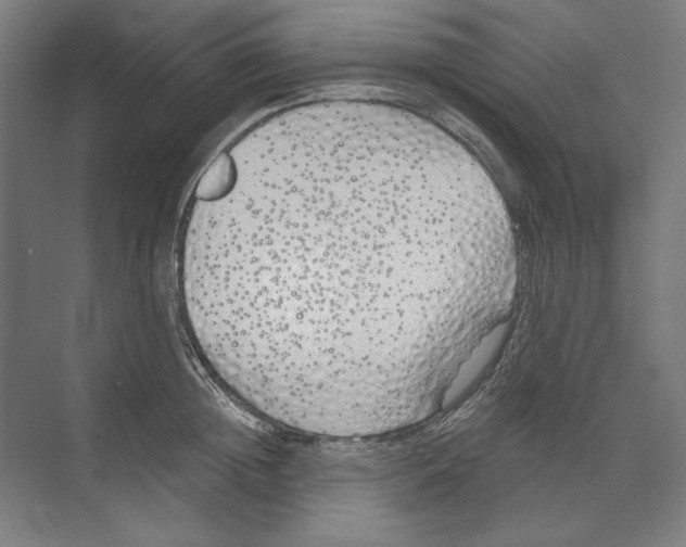 X0000073480852200608281547