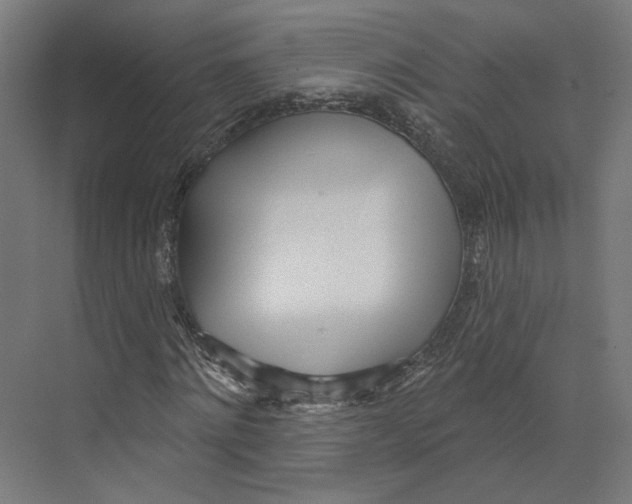X0000073480868200608281547