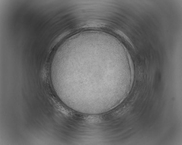 X0000073480874200608281547