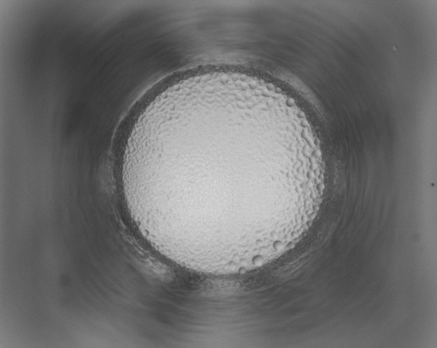 X0000073480878200608281547