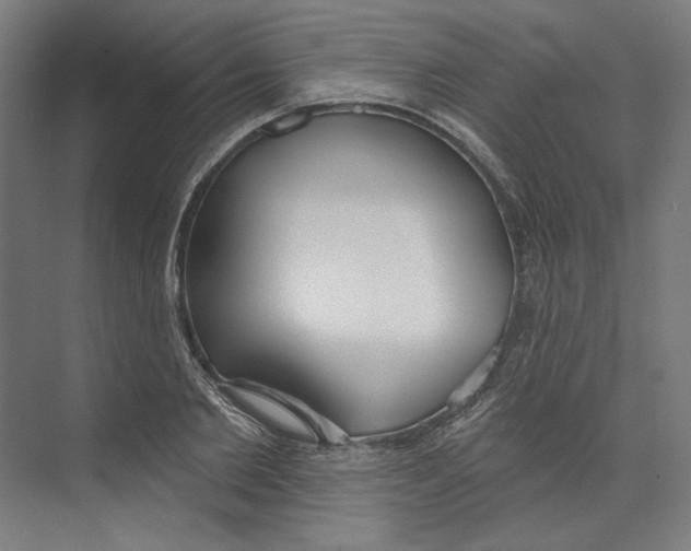 X0000073480885200608281547