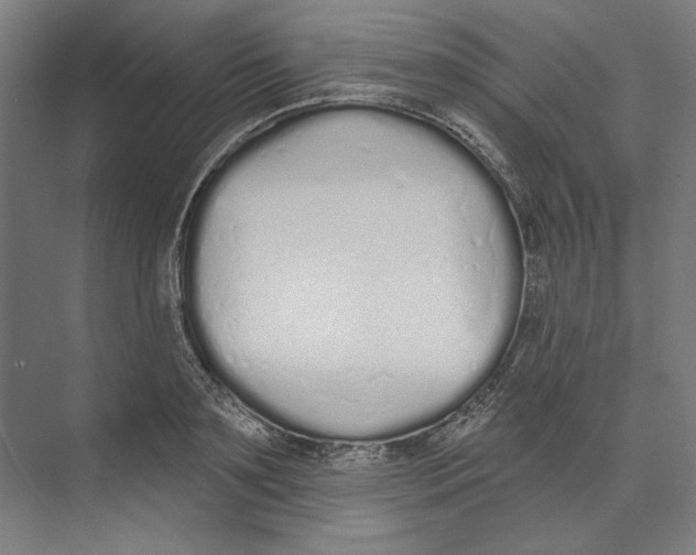 X0000073480891200608281546