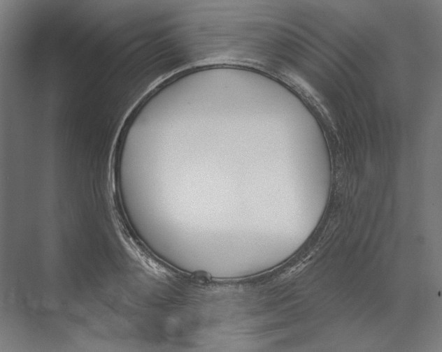 X0000073480892200608281546