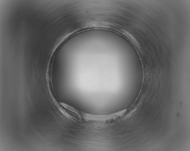 X0000073480893200608281546