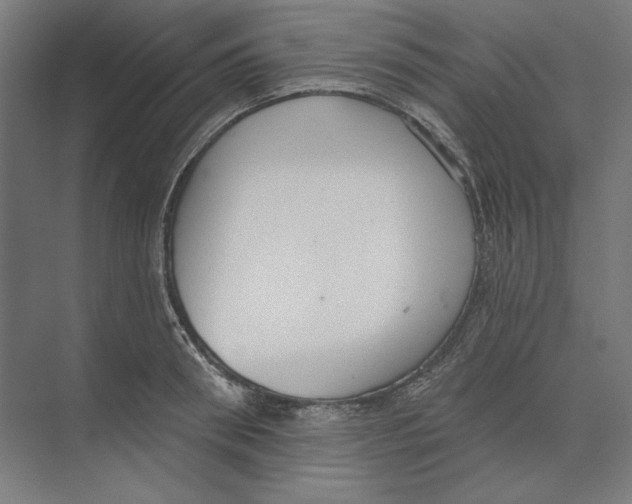 X0000073480898200608281546