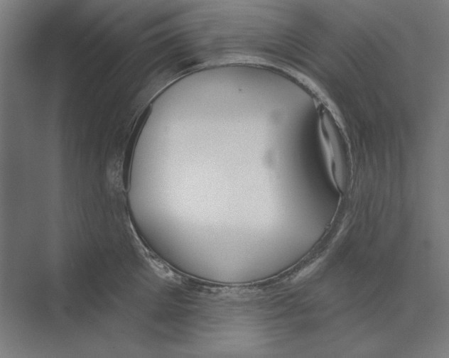 X0000073480905200608281546