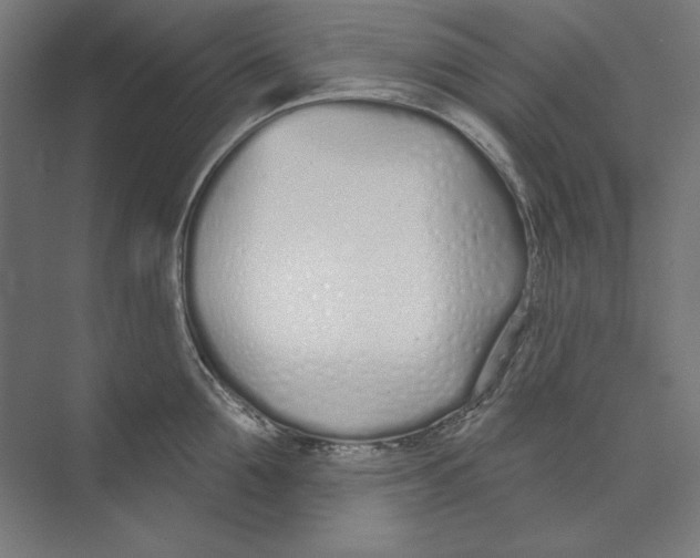 X0000073480907200608281546