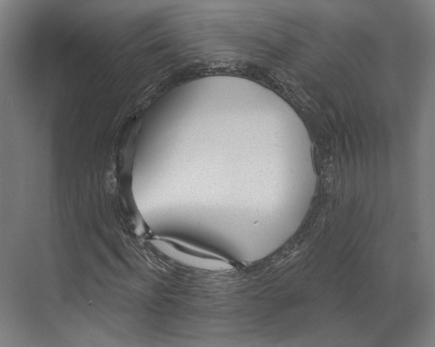 X0000073480916200608281545