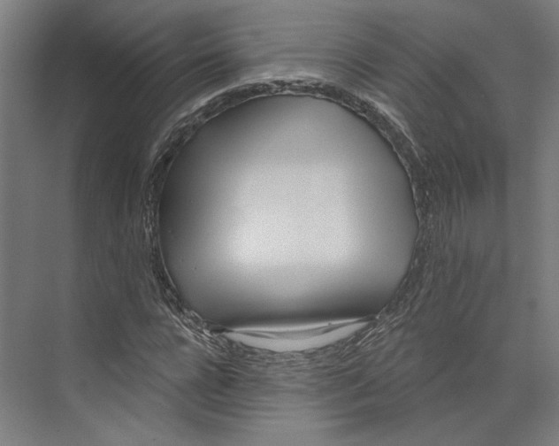 X0000073480920200608281545