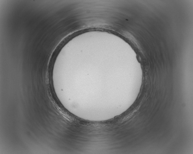 X0000073480924200608281545