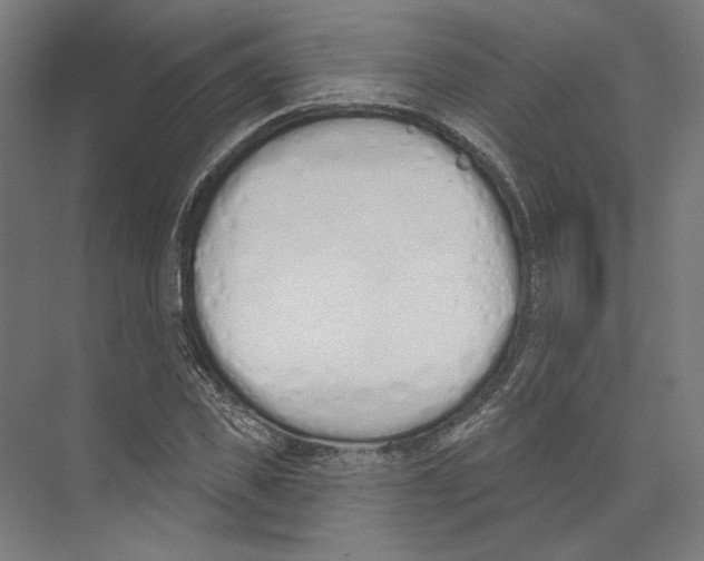 X0000073480925200608281545