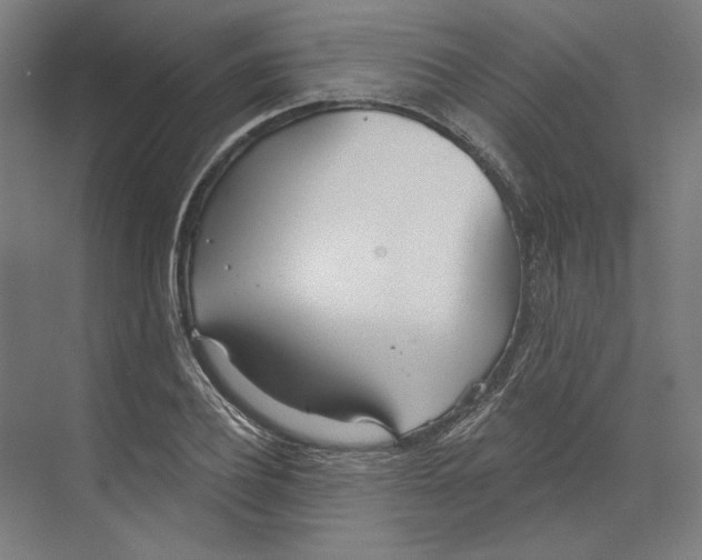 X0000073480932200608281546