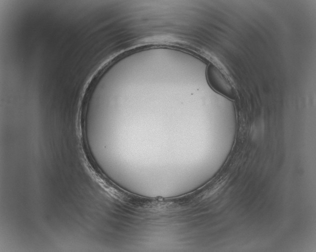 X0000073480939200608281546