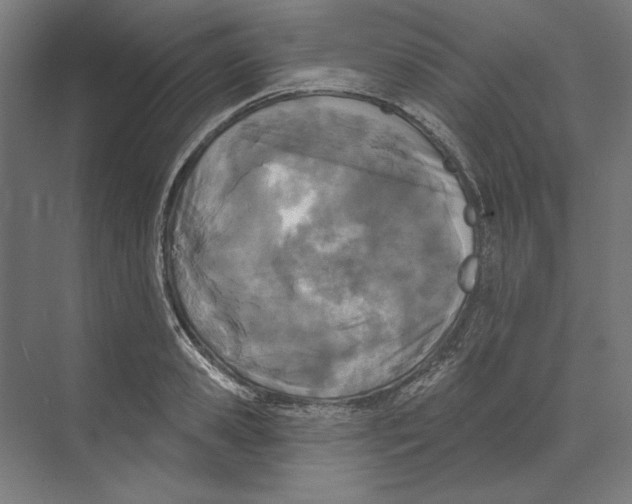 X0000073480941200608281546