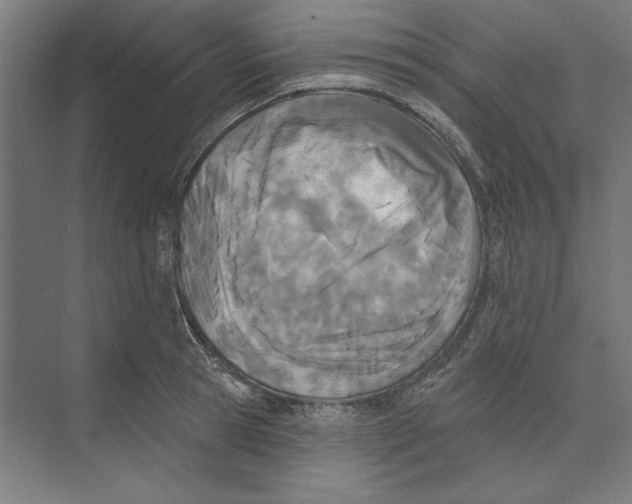 X0000073480945200608281546