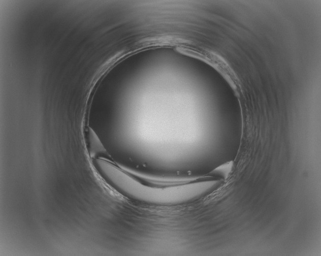 X0000073480946200608281546