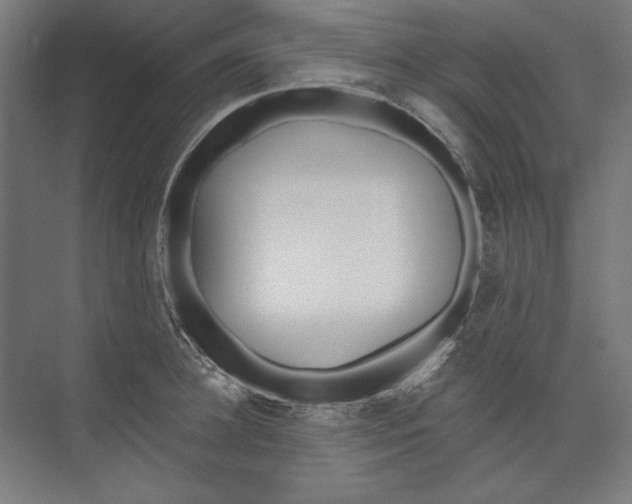 X0000073480948200608281546