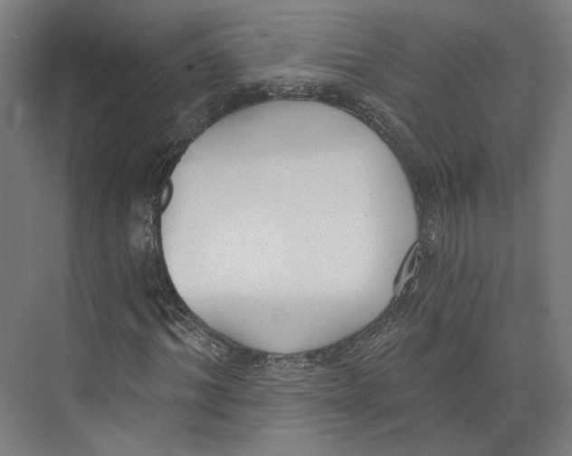 X0000073480964200608281545