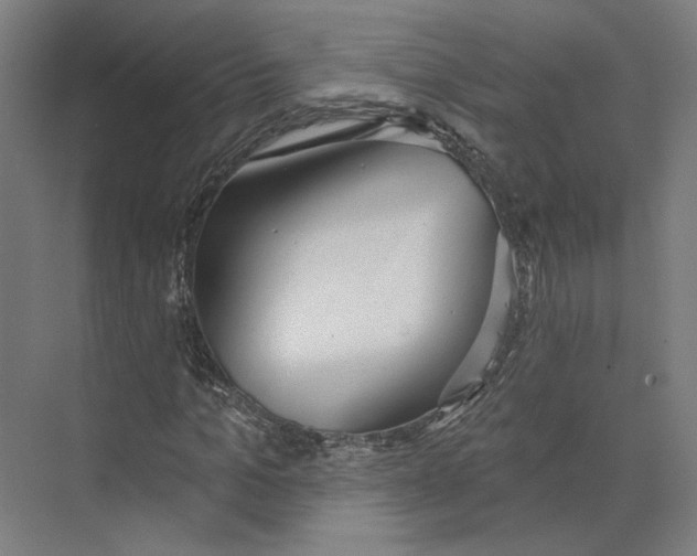 X0000073480965200608281545