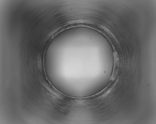 X0000073480969200608281545