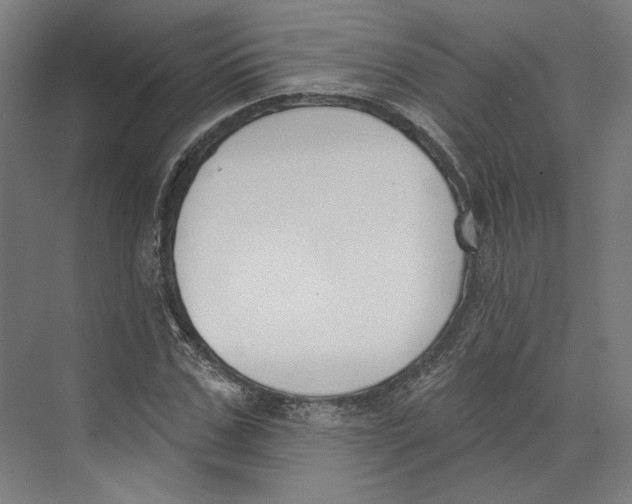 X0000073480971200608281545
