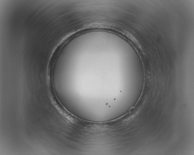 X0000073480981200608281545