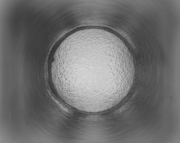 X0000073480982200608281545