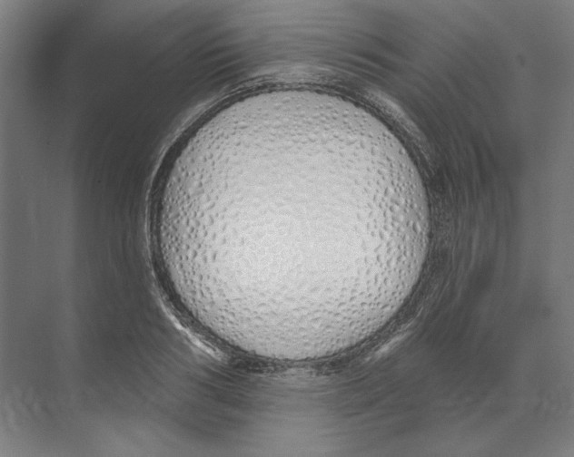 X0000073480986200608281545