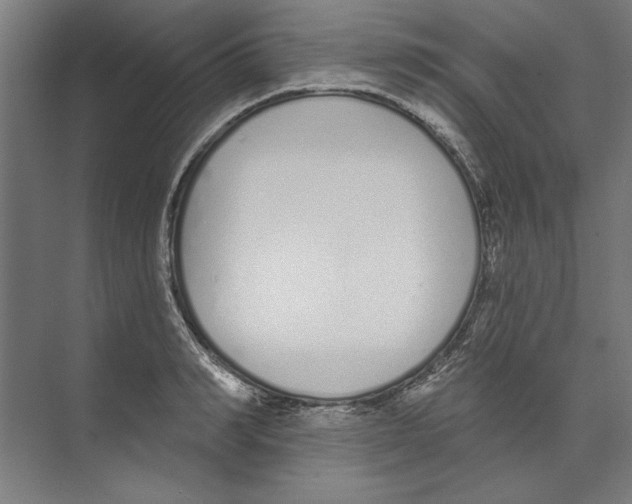 X0000073480990200608281545