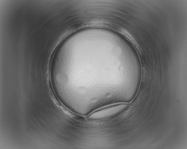 X0000073480994200608281545