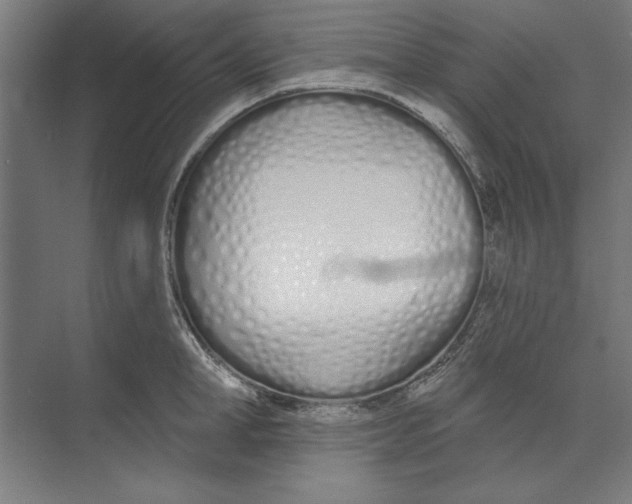 X0000073480998200608281545