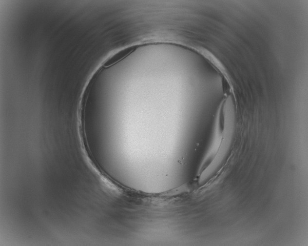 X0000073481005200608281544