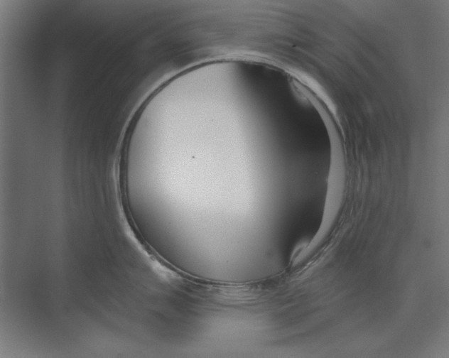 X0000073481007200608281544