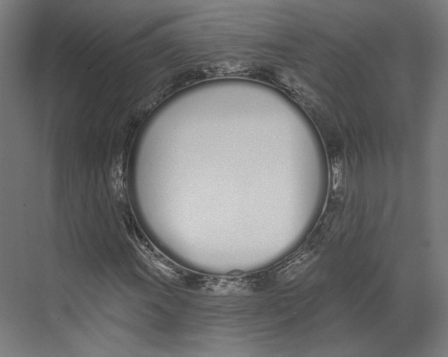 X0000073481011200608281544