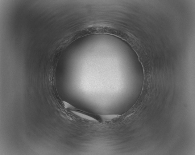 X0000073481014200608281544