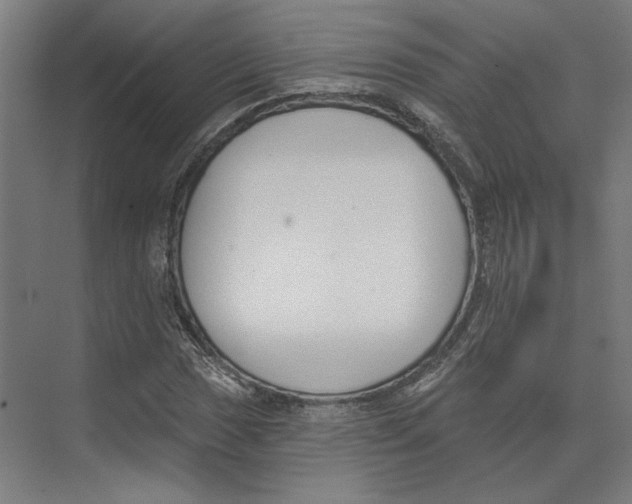 X0000073481017200608281544