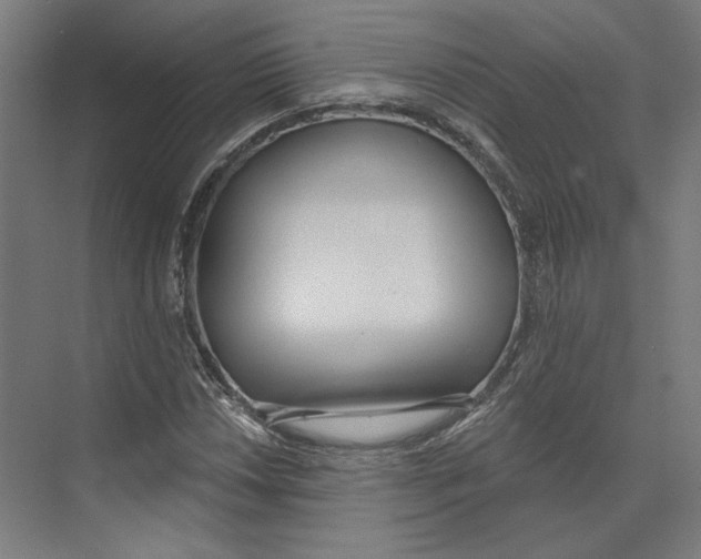 X0000073481018200608281544