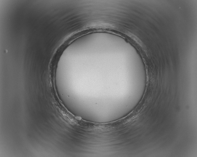 X0000073481022200608281544