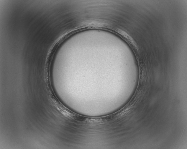 X0000073481027200608281544