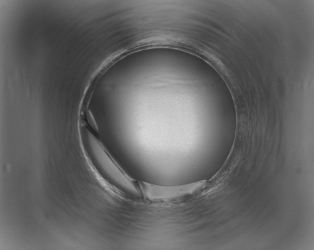 X0000073481034200608281544
